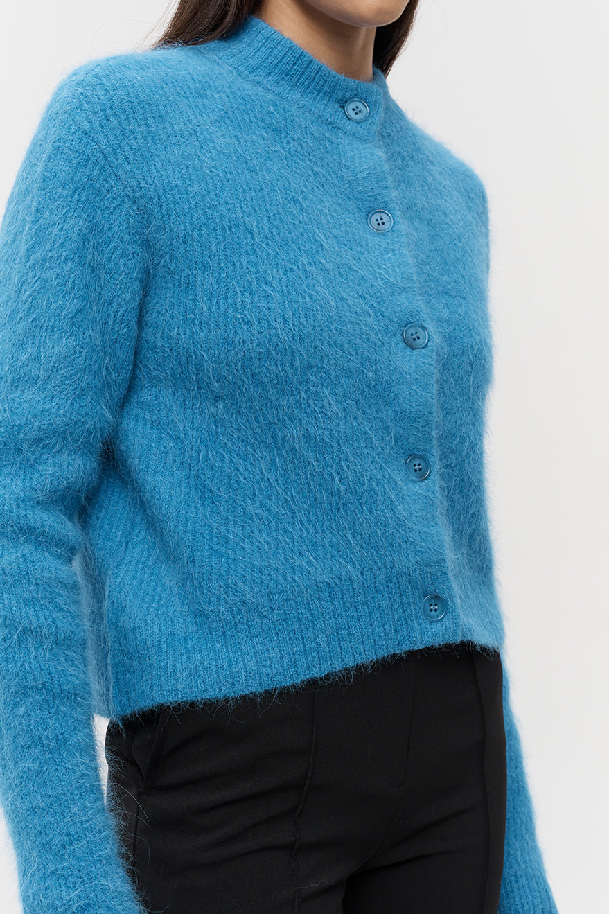 Electric Blue